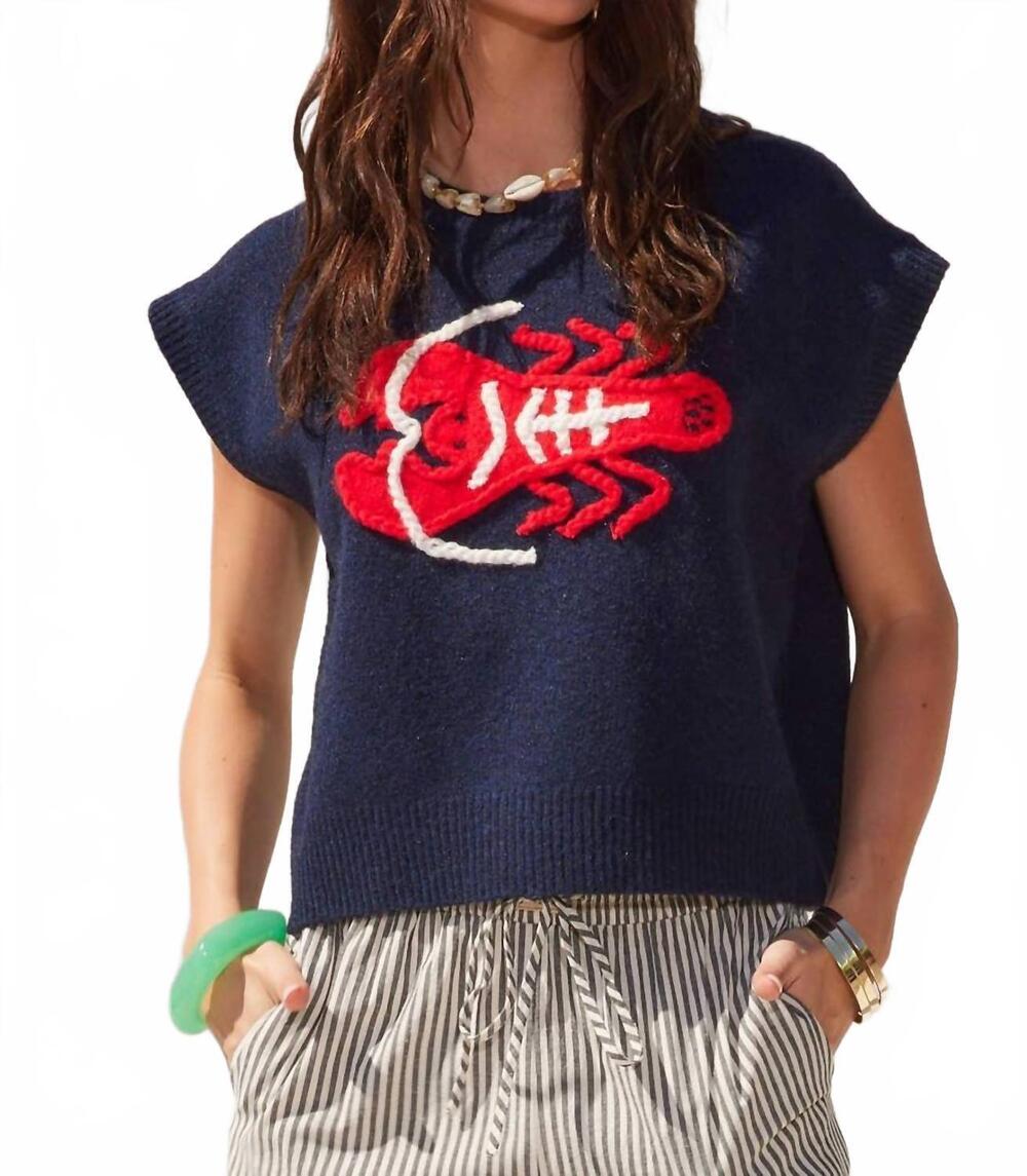 NEW ILLA ILLA lobster design soft knit sweater in navy